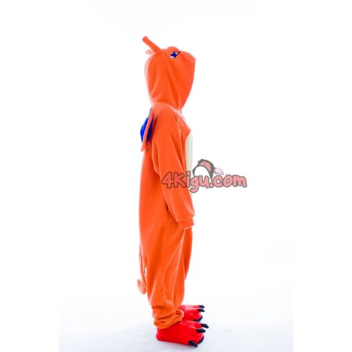 Custom Kigurumi Jumpsuit PokeFun Onesie Flying Cosplay Chariza Fire rd